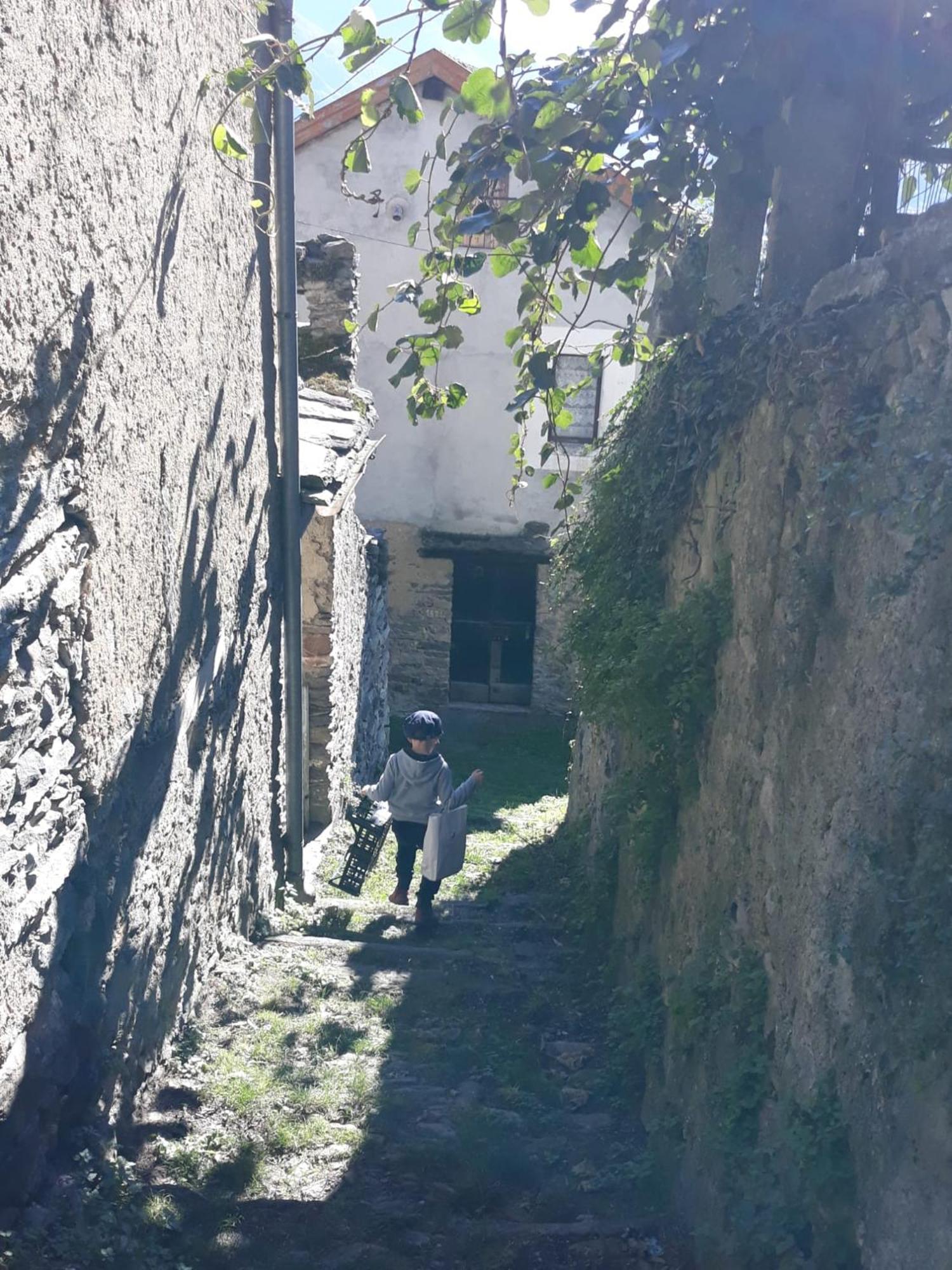 Al Pinone Villa Crevoladossola Exterior photo